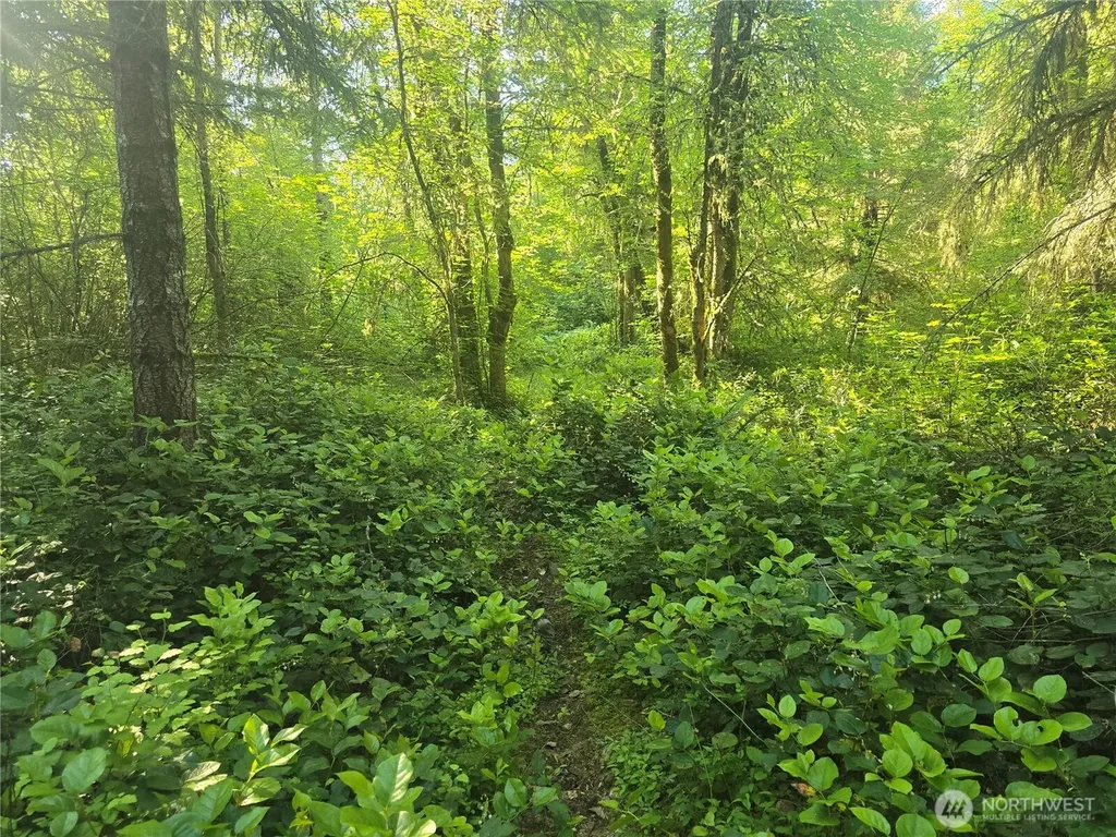 13721 Starflower Lane SE Yelm WA 98597