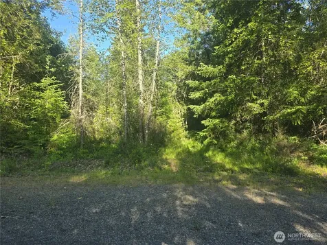 13721 Starflower Lane SE Yelm WA 98597