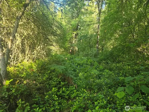 13721 Starflower Lane SE Yelm WA 98597