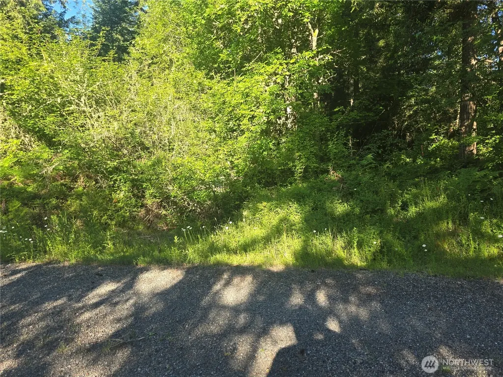 13811 Starflower Lane SE Yelm WA 98597