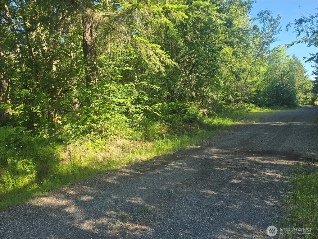 13811 Starflower Lane SE Yelm WA 98597