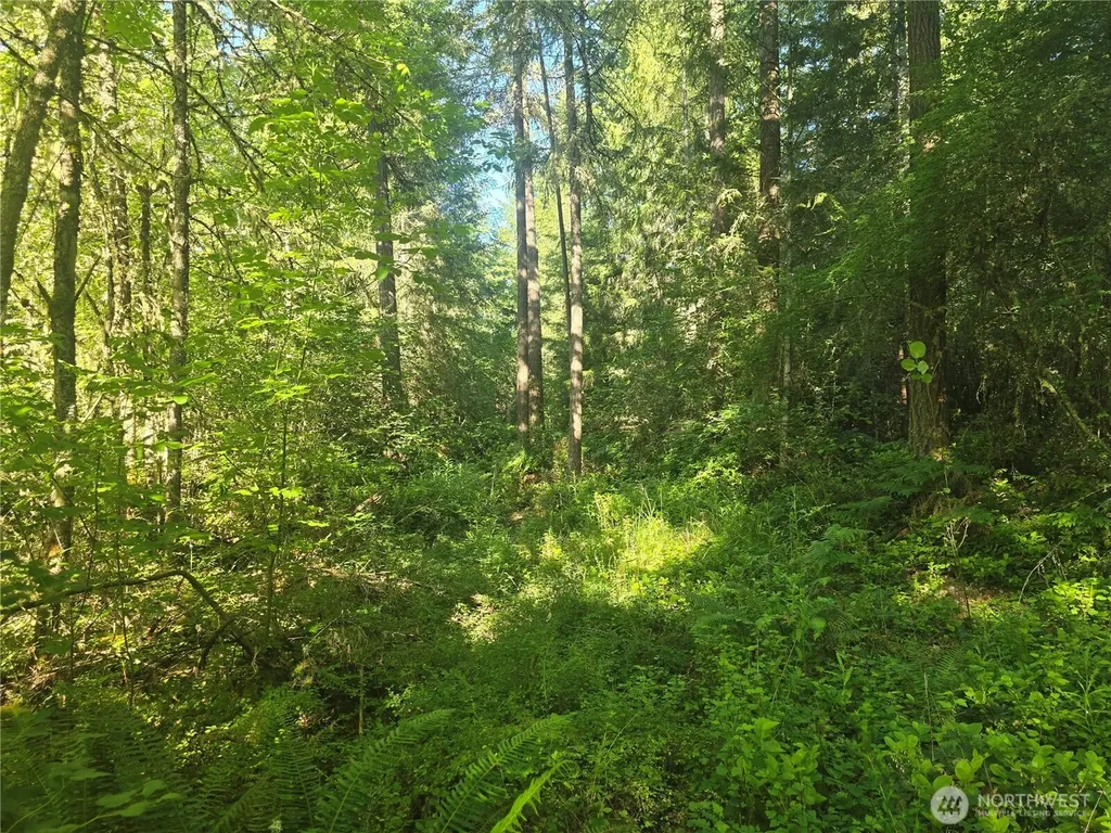 13811 Starflower Lane SE Yelm WA 98597