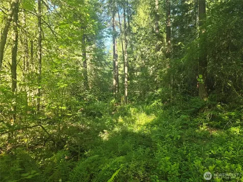 13811 Starflower Lane SE Yelm WA 98597