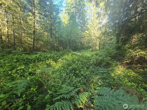 13811 Starflower Lane SE Yelm WA 98597