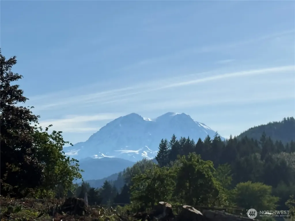 215 Mineral Road N Mineral WA 98355