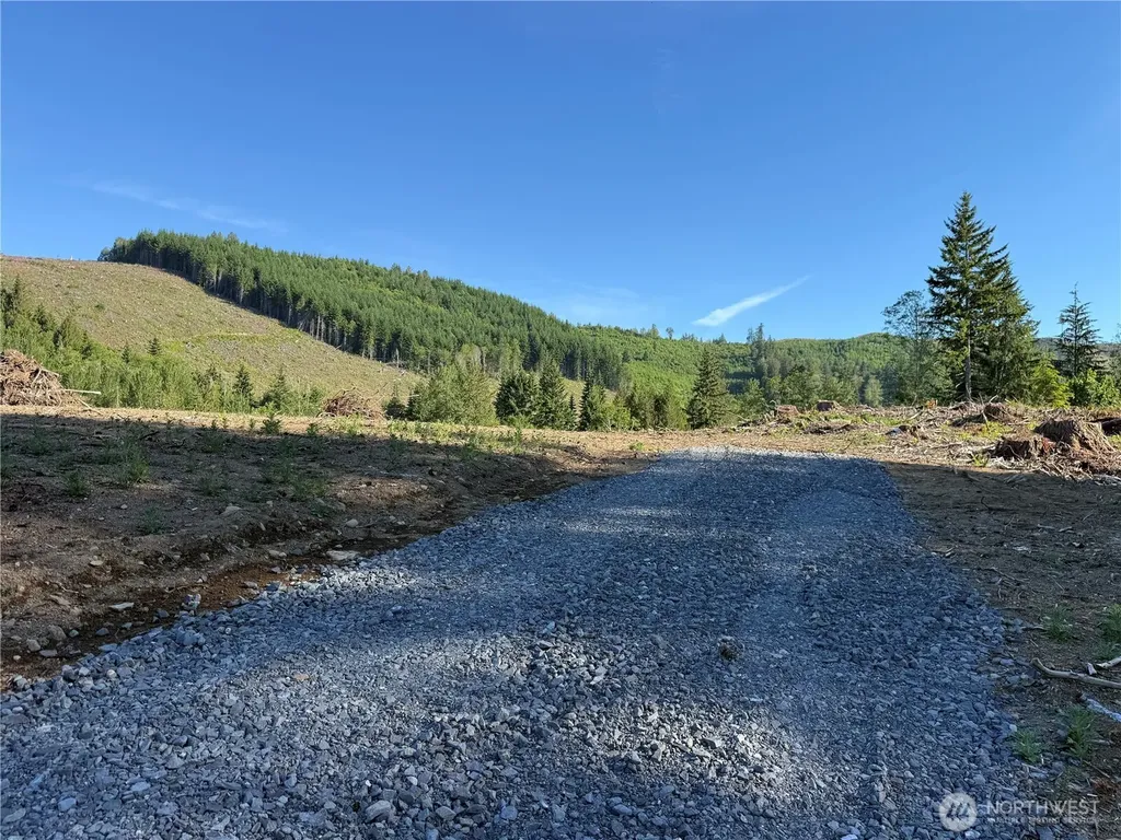 215 Mineral Road N Mineral WA 98355