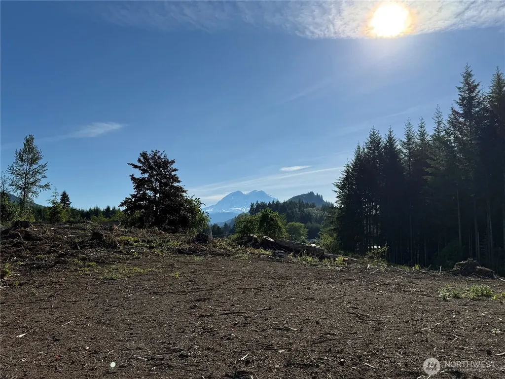 215 Mineral Road N Mineral WA 98355