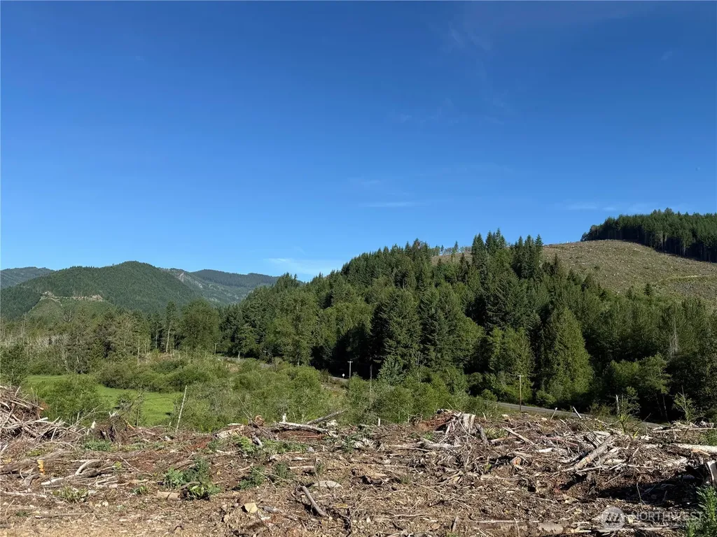 215 Mineral Road N Mineral WA 98355