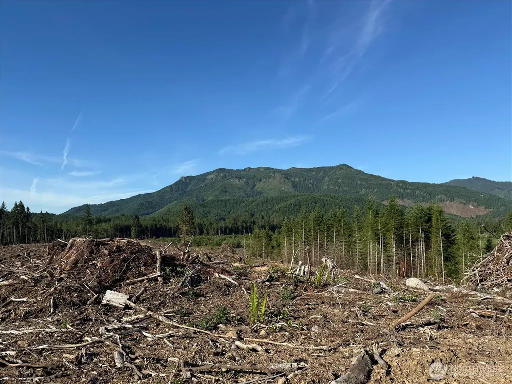 215 Mineral Road N Mineral WA 98355