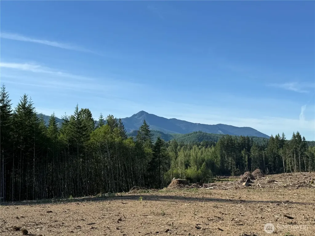 215 Mineral Road N Mineral WA 98355