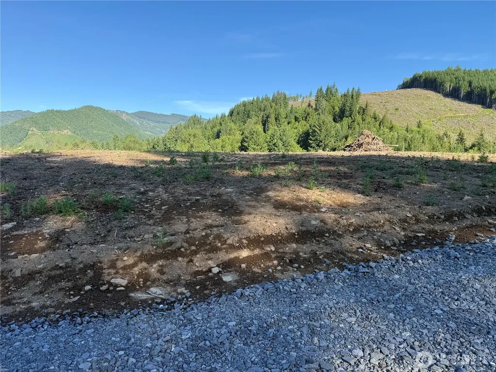 215 Mineral Road N Mineral WA 98355
