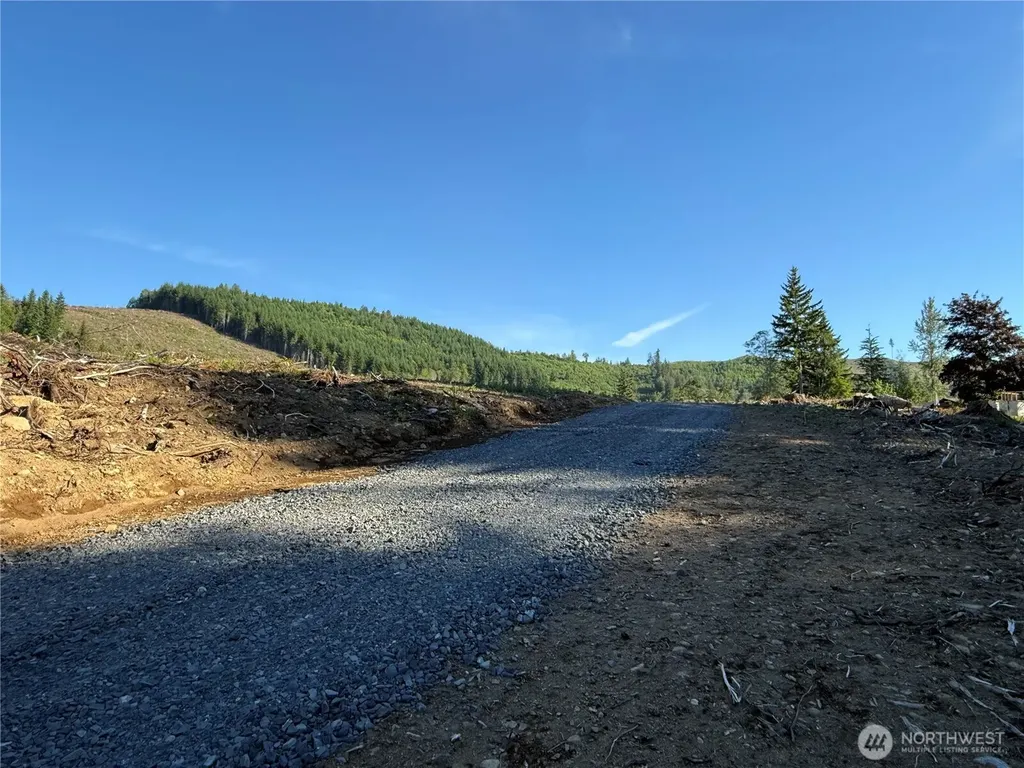 215 Mineral Road N Mineral WA 98355