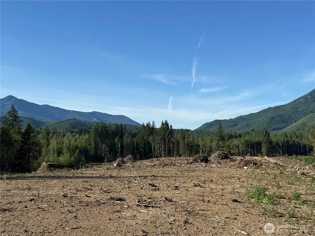 215 Mineral Road N Mineral WA 98355