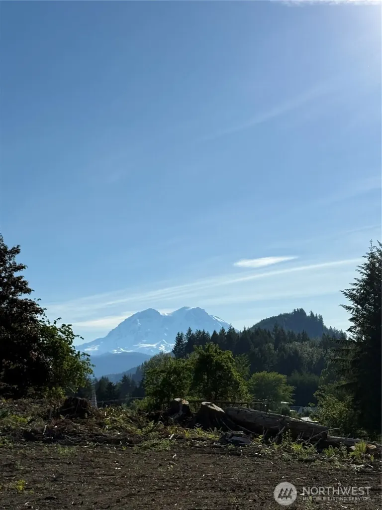 215 Mineral Road N Mineral WA 98355