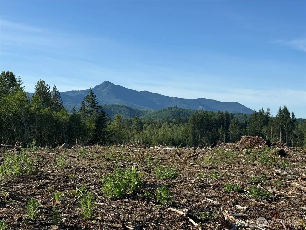 215 Mineral Road N Mineral WA 98355