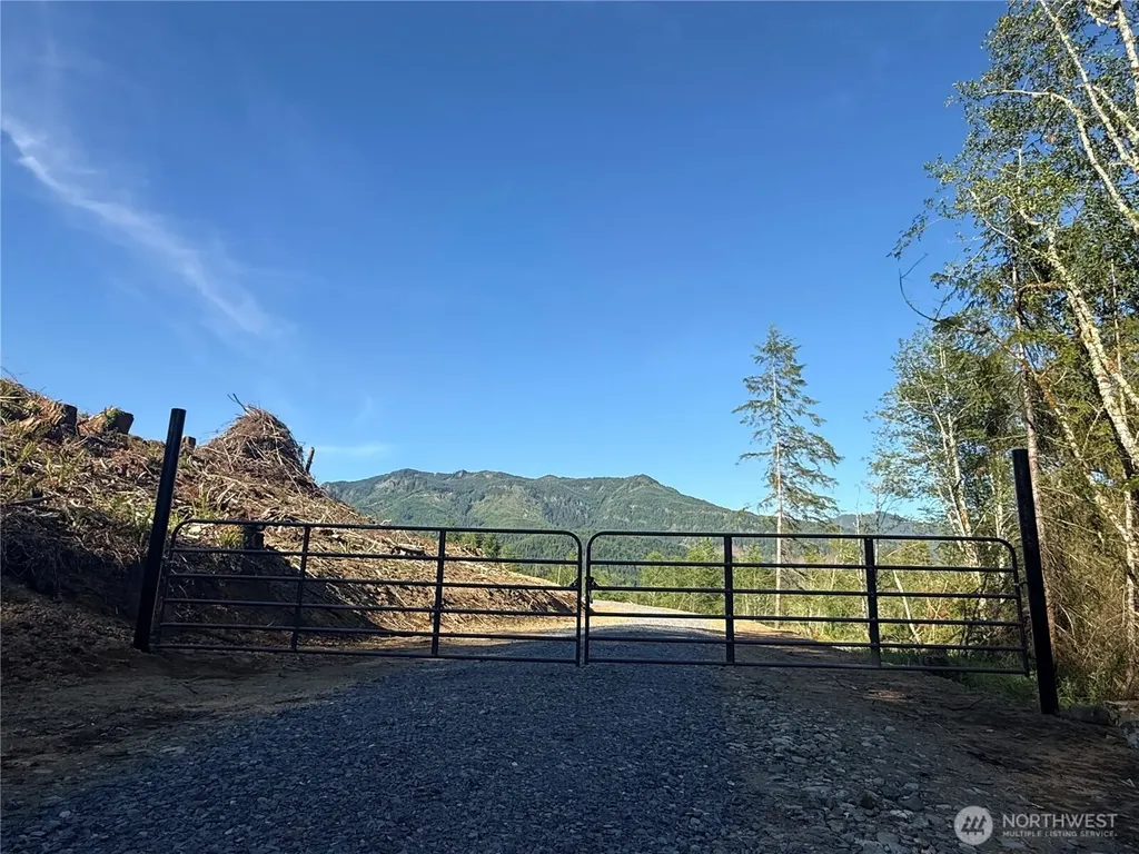 215 Mineral Road N Mineral WA 98355
