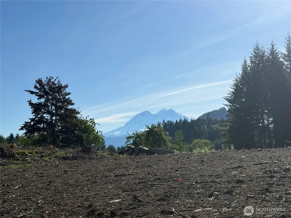215 Mineral Road N Mineral WA 98355