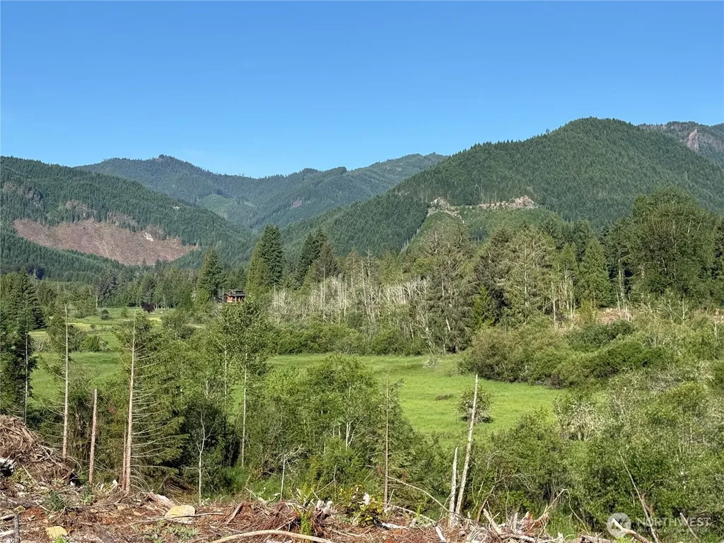 215 Mineral Road N Mineral WA 98355