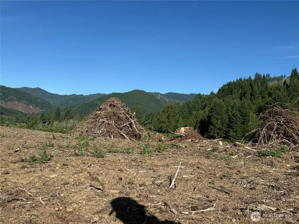 215 Mineral Road N Mineral WA 98355