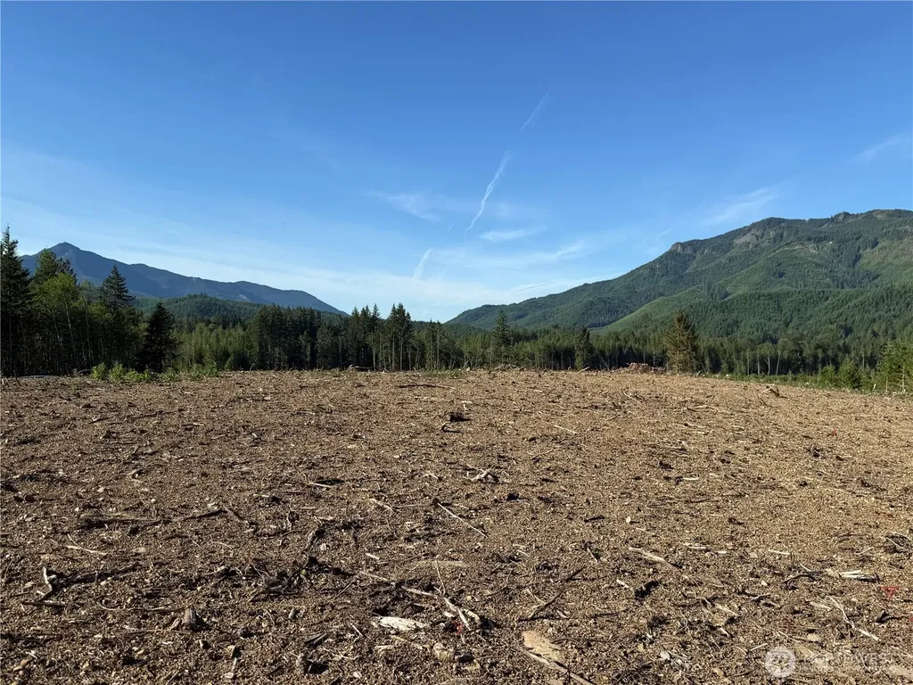 215 Mineral Road N Mineral WA 98355