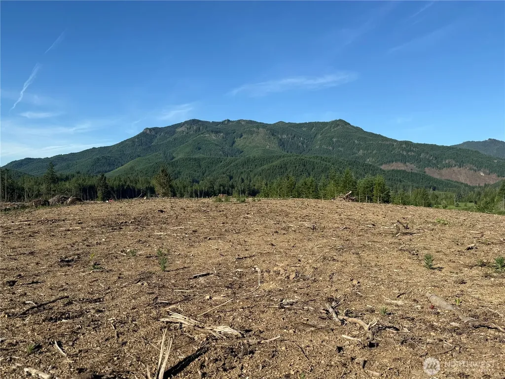 215 Mineral Road N Mineral WA 98355