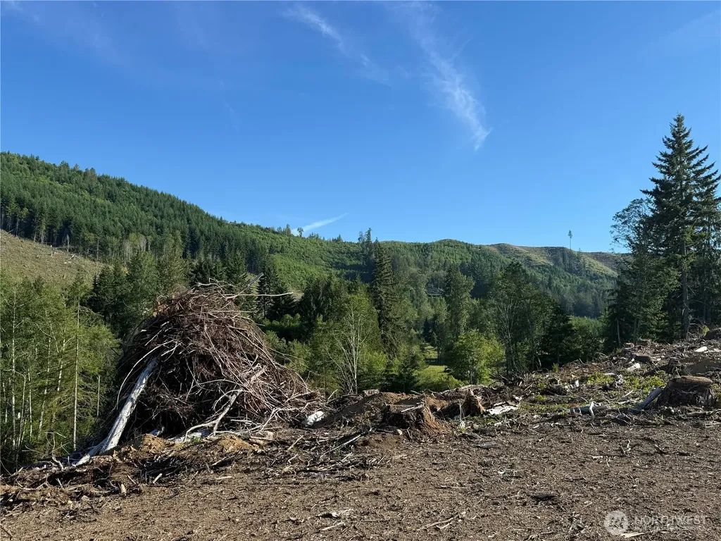 215 Mineral Road N Mineral WA 98355
