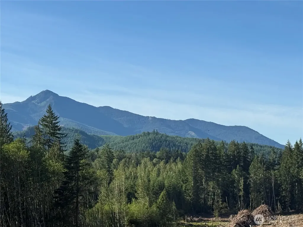 215 Mineral Road N Mineral WA 98355