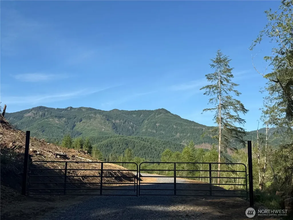 215 Mineral Road N Mineral WA 98355