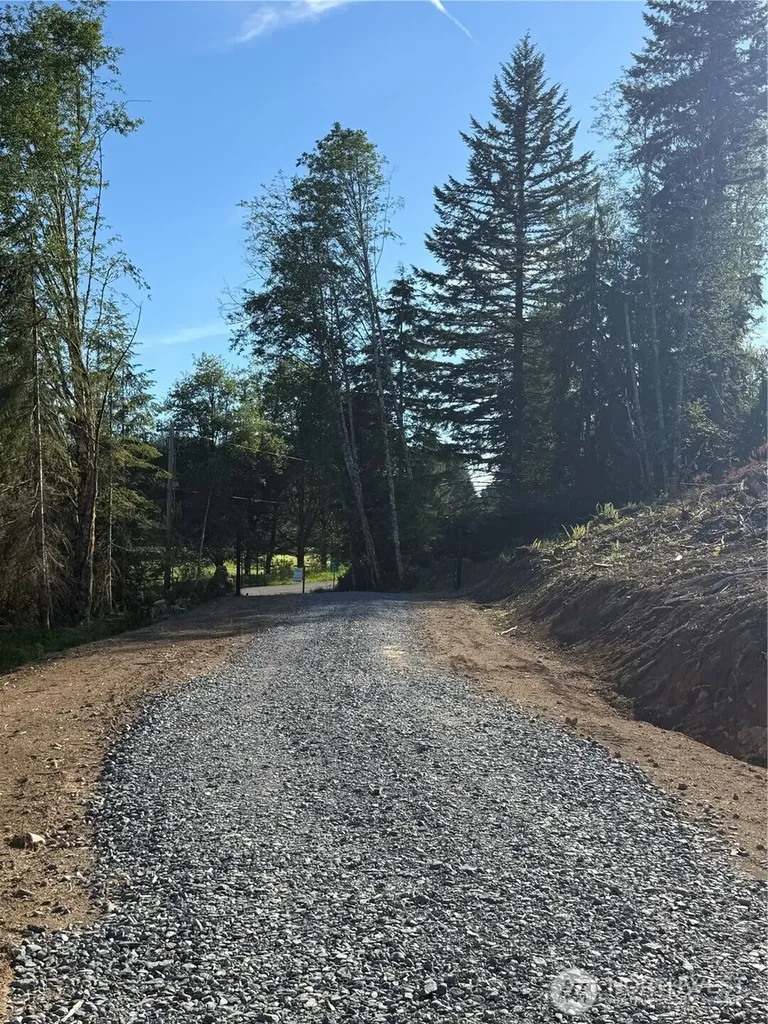 215 Mineral Road N Mineral WA 98355