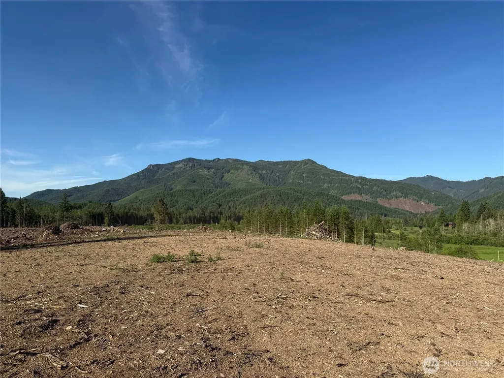 215 Mineral Road N Mineral WA 98355
