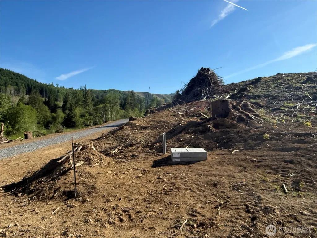 215 Mineral Road N Mineral WA 98355