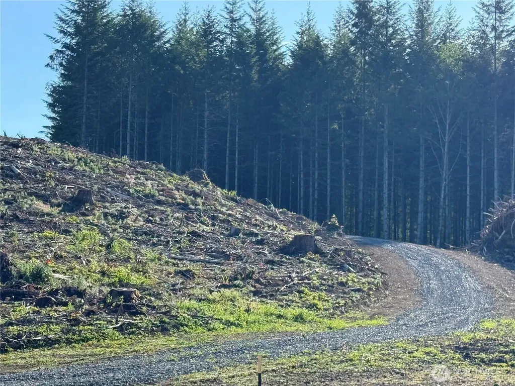215 Mineral Road N Mineral WA 98355
