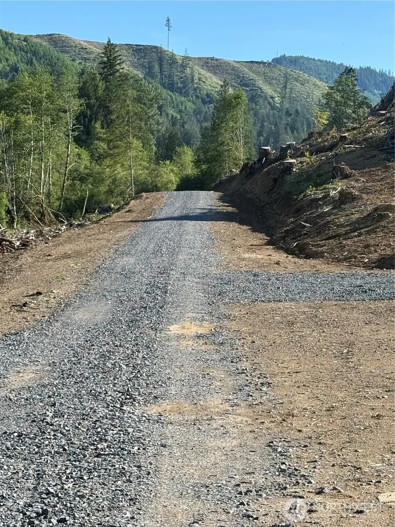 215 Mineral Road N Mineral WA 98355