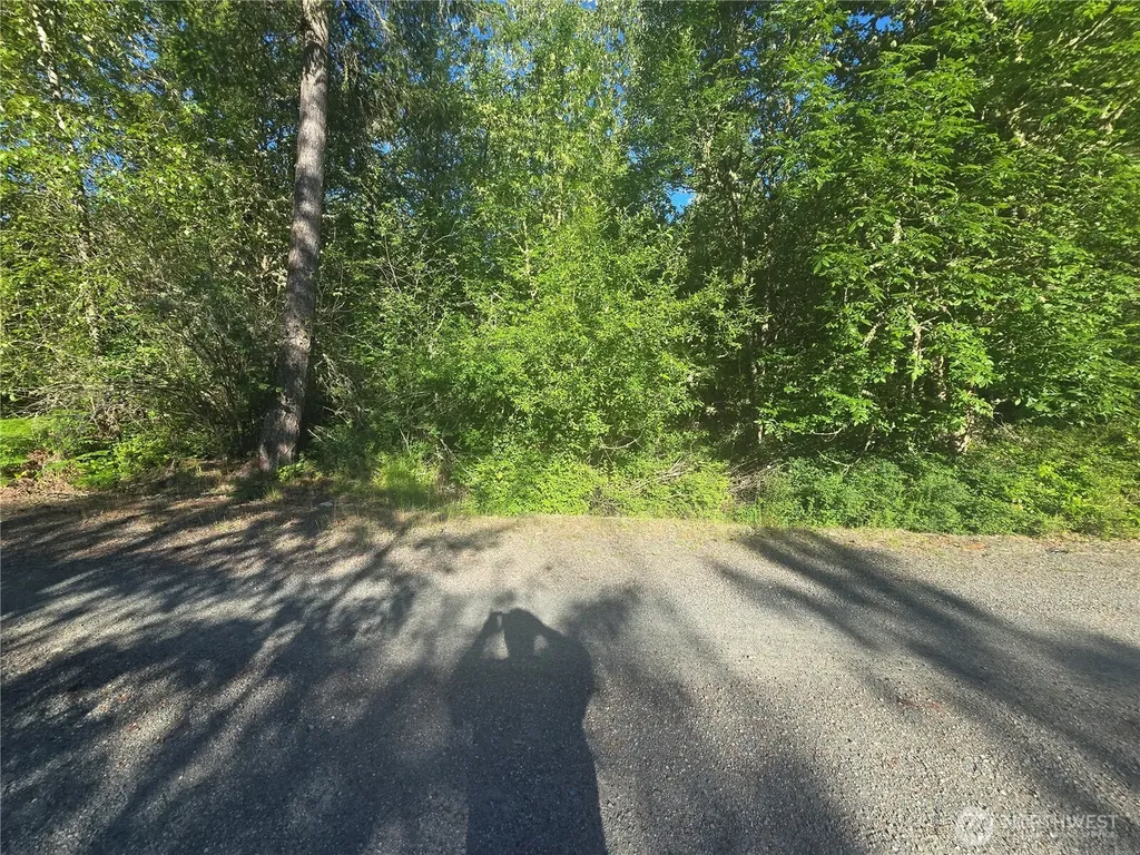 13823 Starflower Lane SE Yelm WA 98597