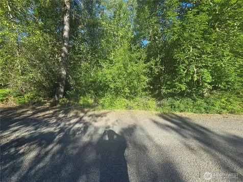 13823 Starflower Lane SE Yelm WA 98597