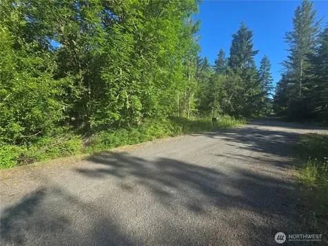 13823 Starflower Lane SE Yelm WA 98597