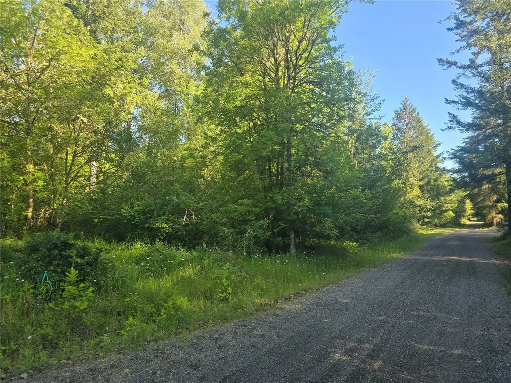 13701 Starflower Lane SE Yelm WA 98597