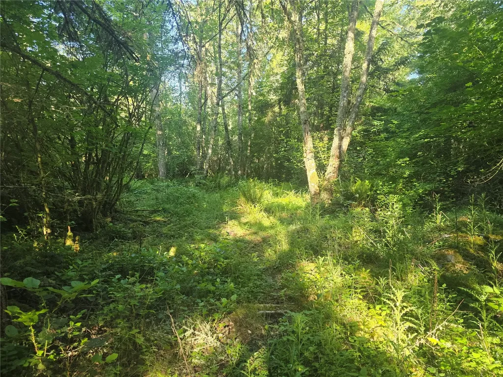 13701 Starflower Lane SE Yelm WA 98597