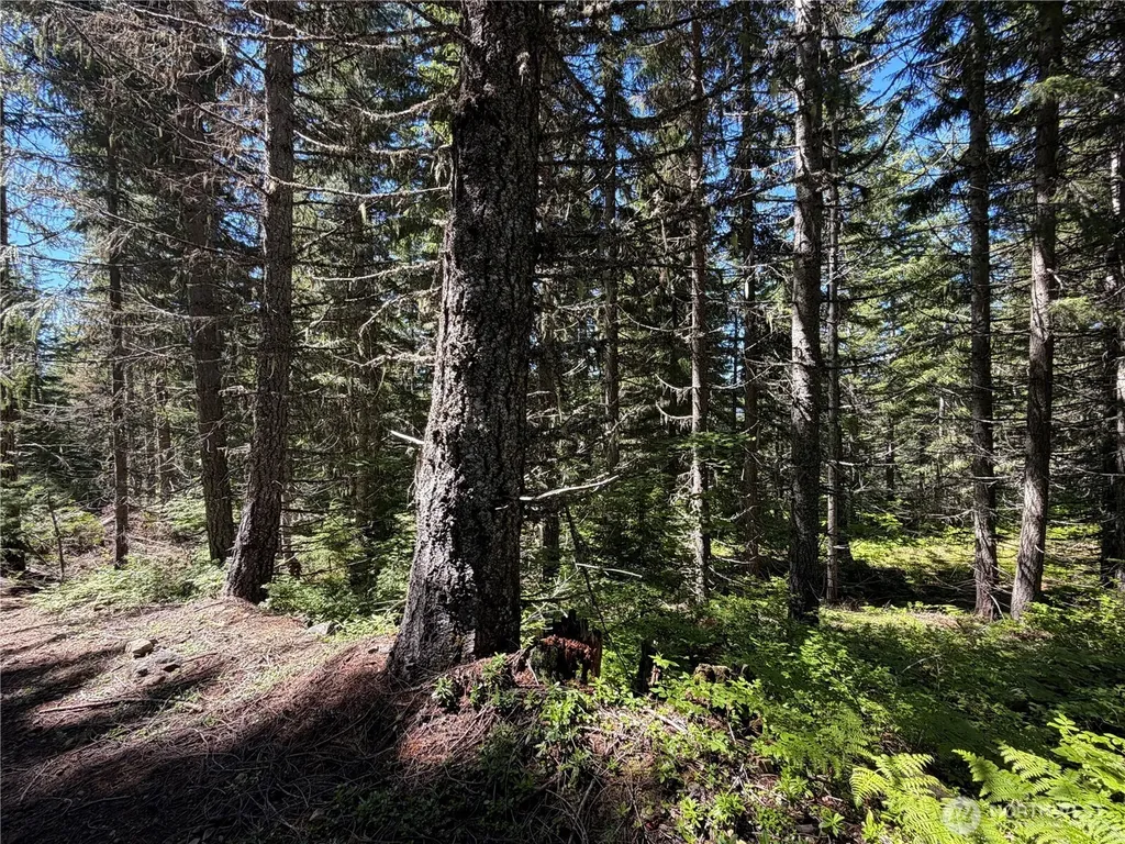 0 Fs Road 124 Snoqualmie Pass WA 98068