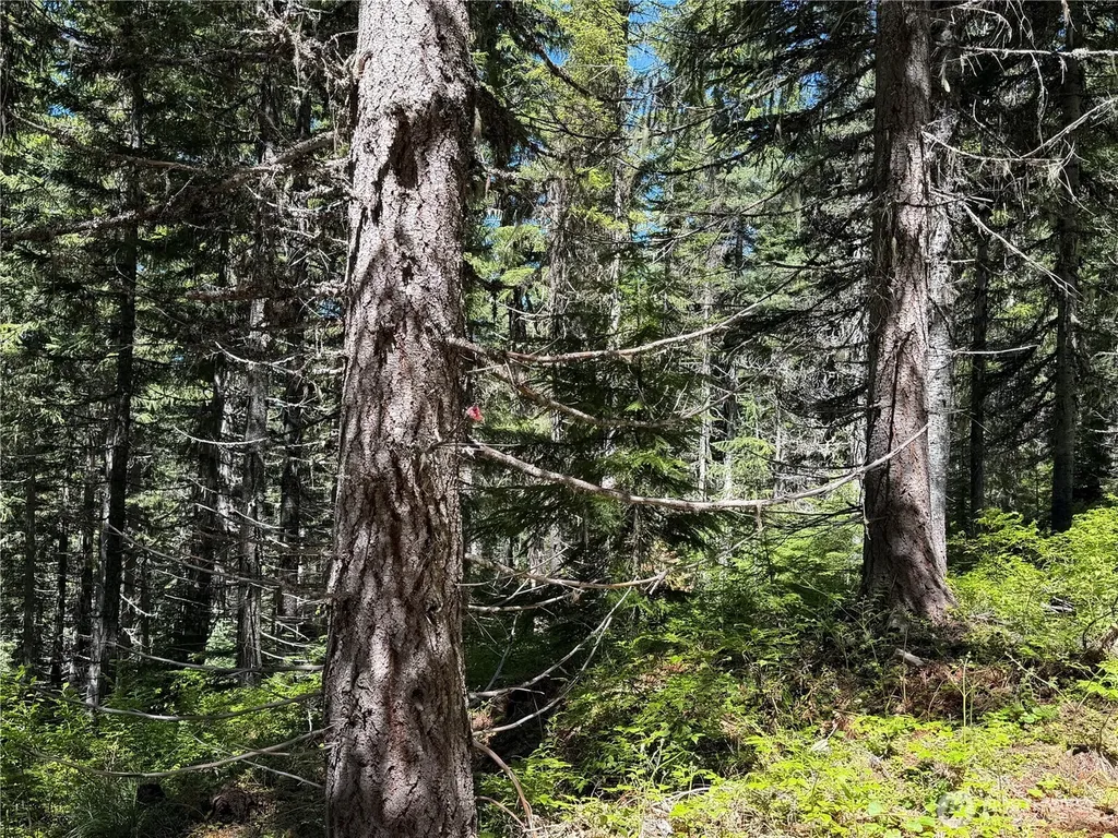 0 Fs Road 124 Snoqualmie Pass WA 98068