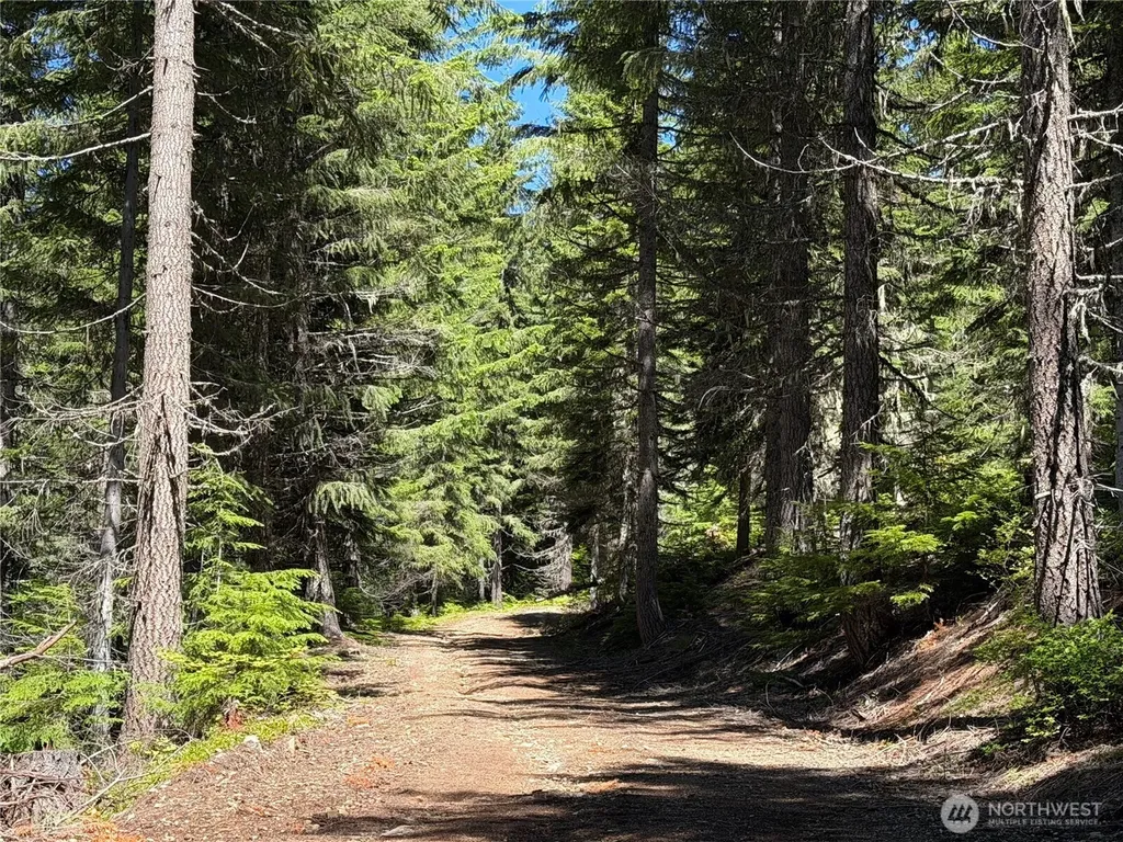 0 Fs Road 124 Snoqualmie Pass WA 98068