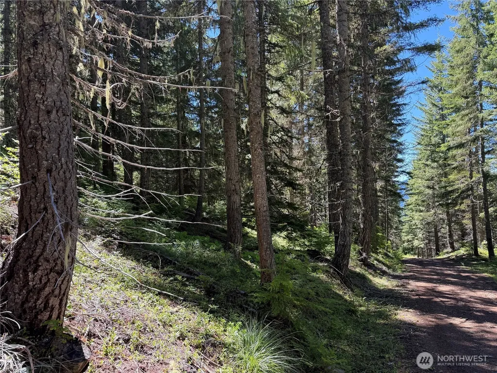 0 Fs Road 124 Snoqualmie Pass WA 98068
