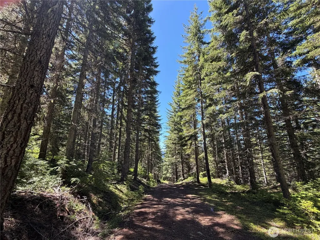 0 Fs Road 124 Snoqualmie Pass WA 98068