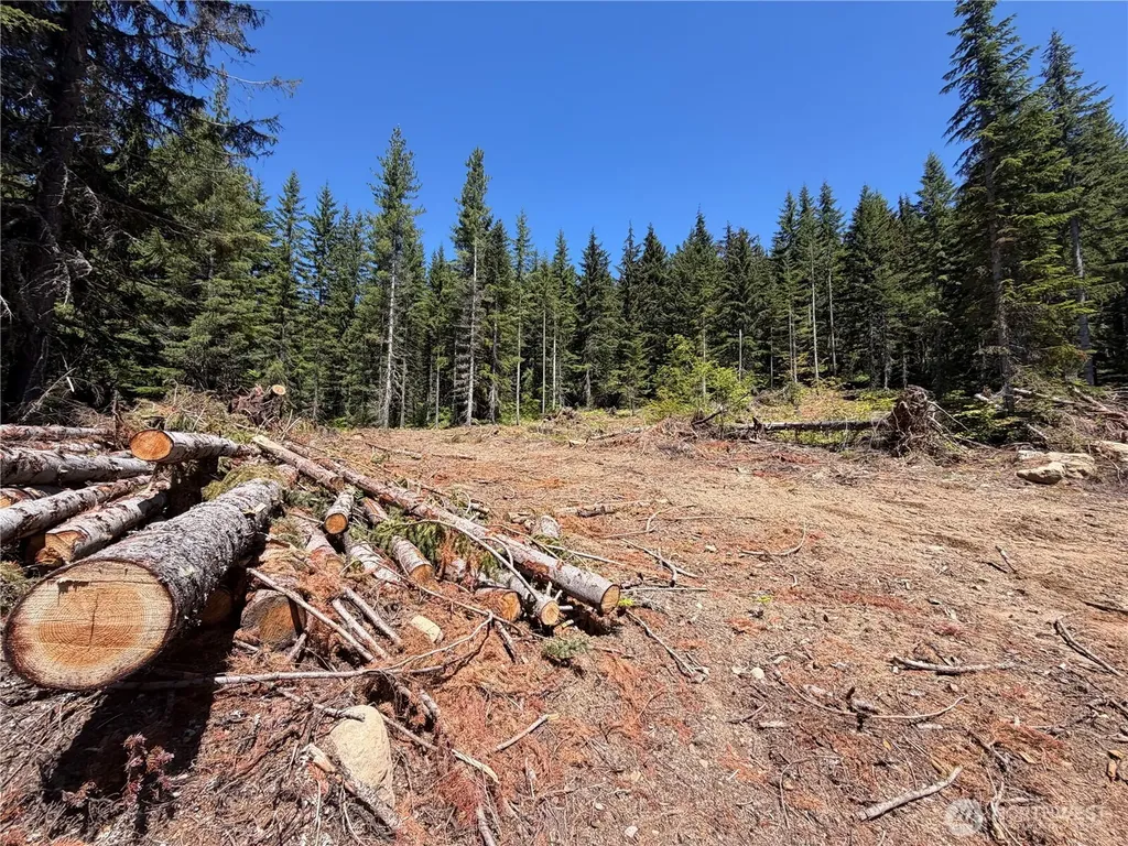 0 Fs Road 124 Snoqualmie Pass WA 98068
