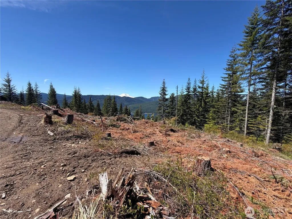 0 Fs Road 124 Snoqualmie Pass WA 98068