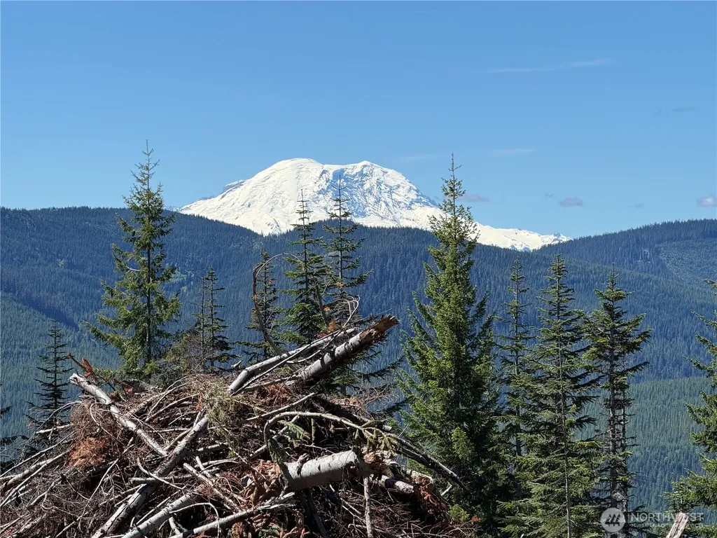 0 Fs Road 124 Snoqualmie Pass WA 98068
