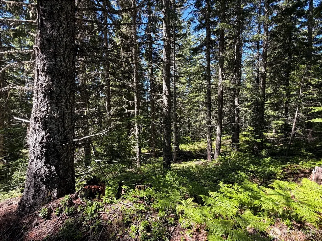 0 Fs Road 124 Snoqualmie Pass WA 98068