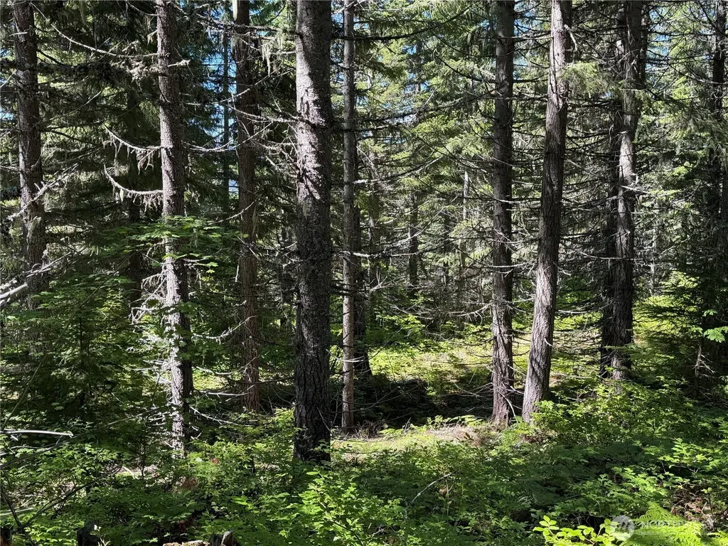 0 Fs Road 124 Snoqualmie Pass WA 98068