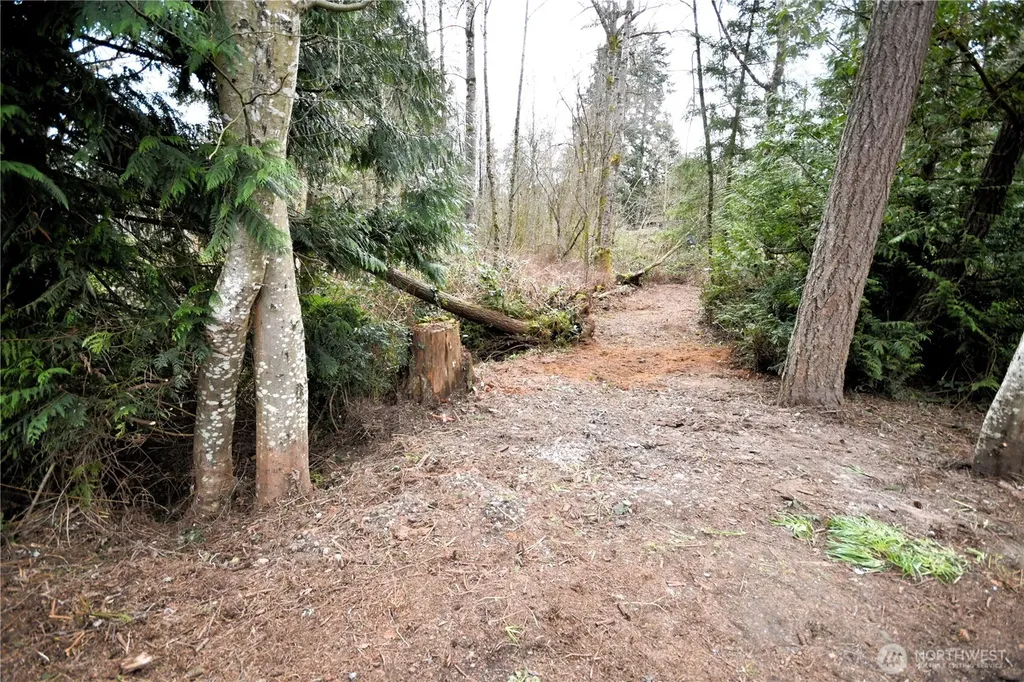 0 SE Cleveland Avenue Port Orchard WA 98366