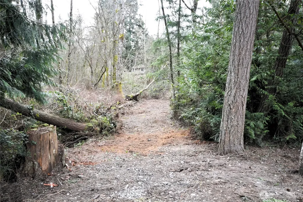 0 SE Cleveland Avenue Port Orchard WA 98366